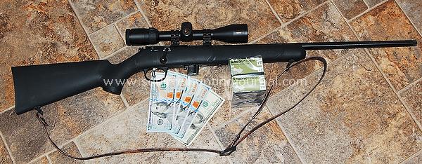 Squirrel Rifle on a Budget